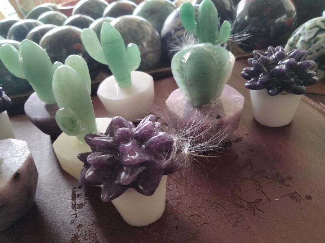 Crystal Cacti & succulent carvng