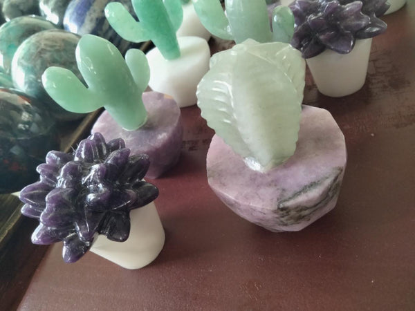 Crystal Cacti & succulent carvng