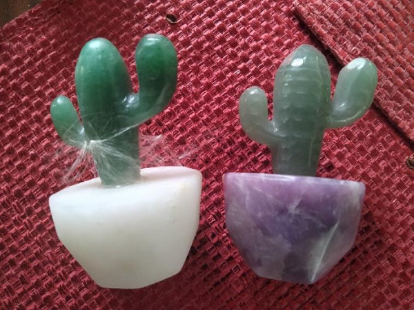 Crystal Cacti & succulent carvng