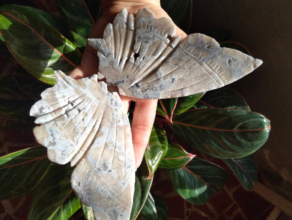 White Laced Agate Crystal Butterfly with stand