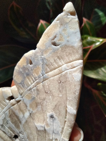 White Laced Agate Crystal Butterfly with stand