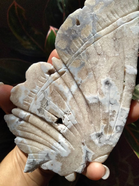 White Laced Agate Crystal Butterfly with stand