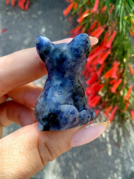 Sodalite French Bulldog Crystal Carving