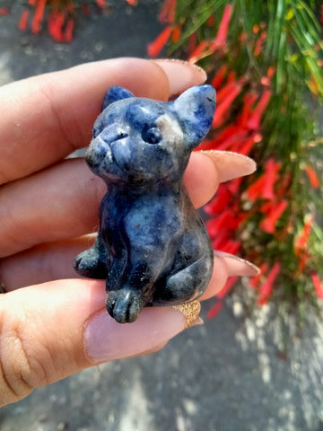 Sodalite French Bulldog Crystal Carving