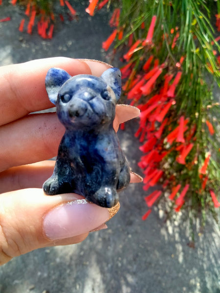 Sodalite French Bulldog Crystal Carving