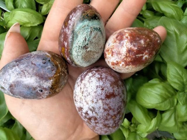 Ocean Jasper Egg