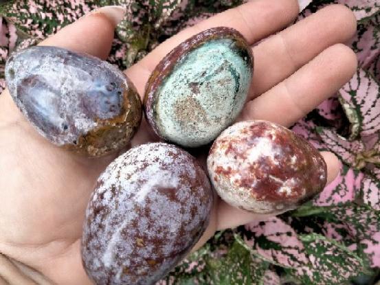 Ocean Jasper Egg