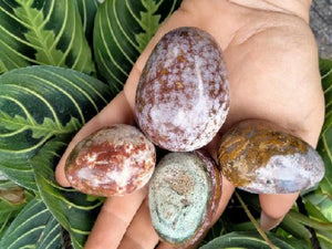 Ocean Jasper Egg