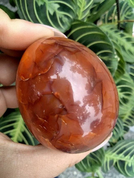 Carnelian Jasper Crystal Egg