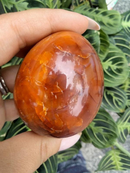 Carnelian Jasper Crystal Egg