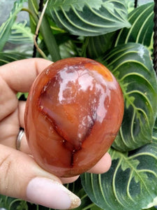 Carnelian Jasper Crystal Egg