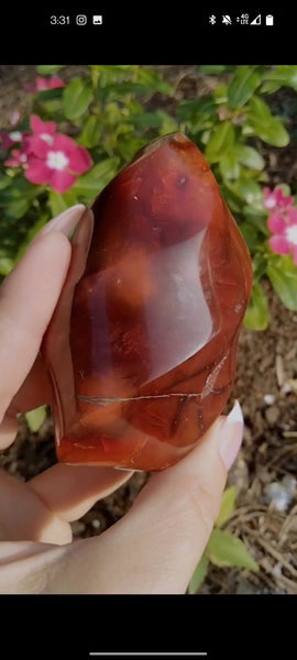 Mookiate infused Carnelian Jasper Flame