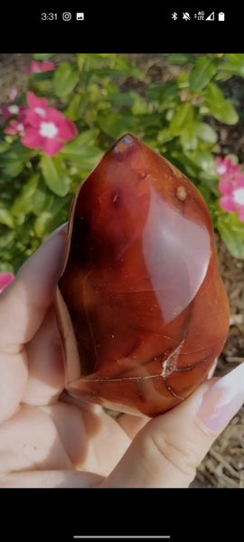 Mookiate infused Carnelian Jasper Flame