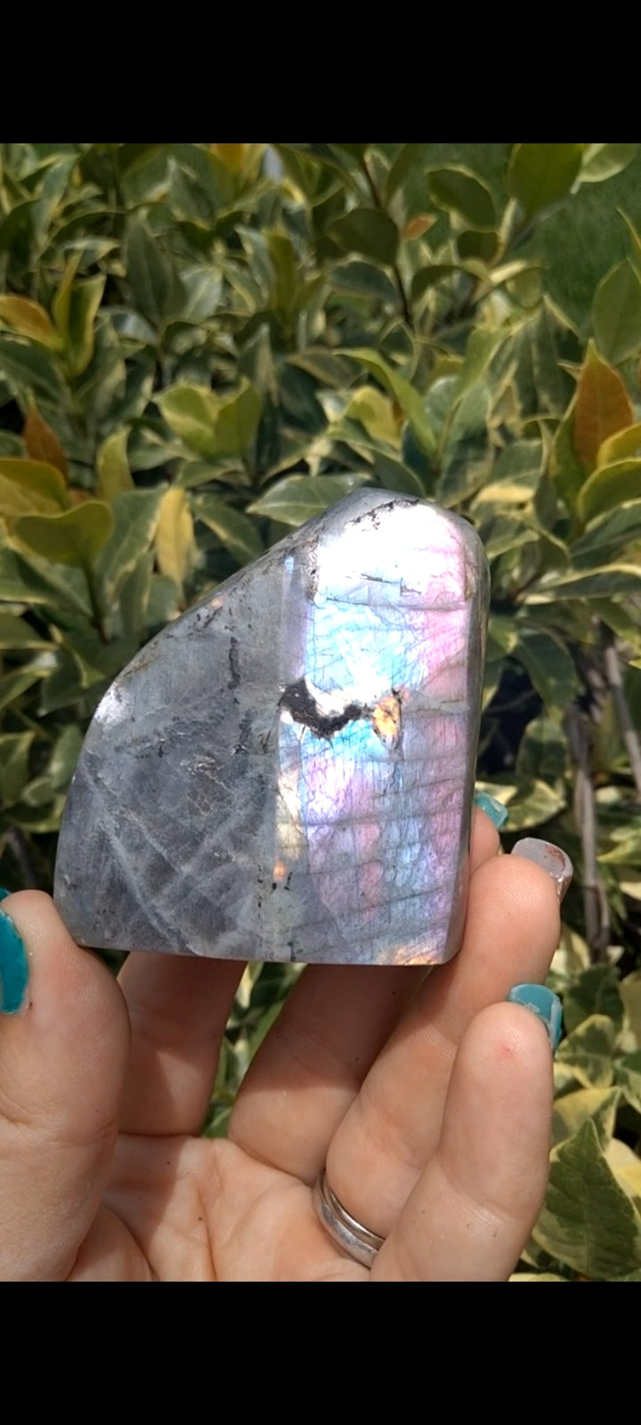 Labradorite blue & pink P2