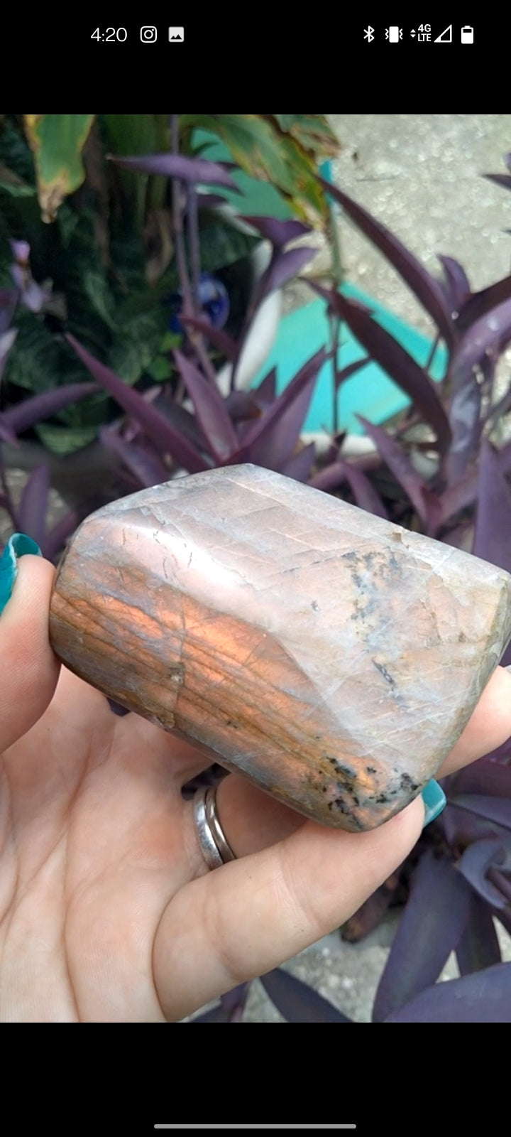 Sunset Labradorite O1