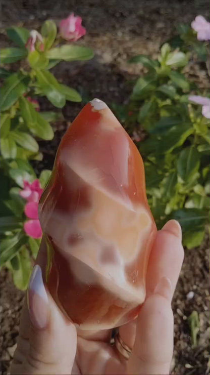 Orca Carnelian Jasper Flame 1
