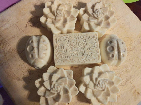 Goatmilk Soap: Bird of Paradise 3 bars