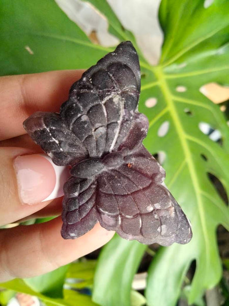 Sun and Moon Fluorite Butterfly