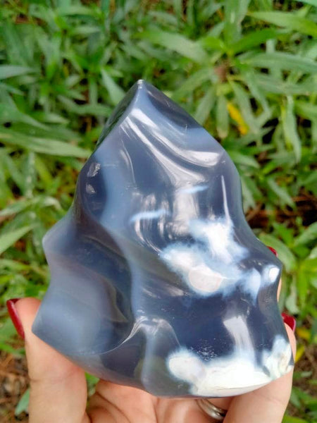 Orca agate Flame